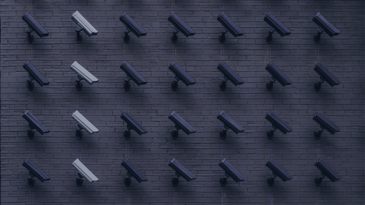 A wall-mounted grid of surveillance cameras looking to the bottom right.
